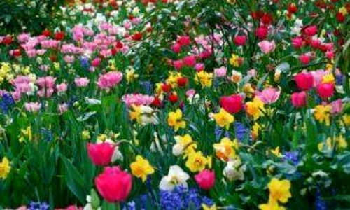 1 67844 original jpg jpeg