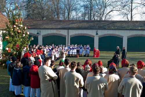 Familia Regală a primit colindători la Castelul Săvârșin