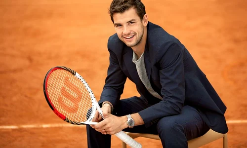 grigor dimitrov plays the final in brisbane jpeg