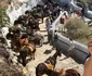Alexandru Constantin a vizitat Santorini. Măgărușii sunt folosiți pentru transportul turiștilor și căratul bagajelor grele Foto: arhiva personală