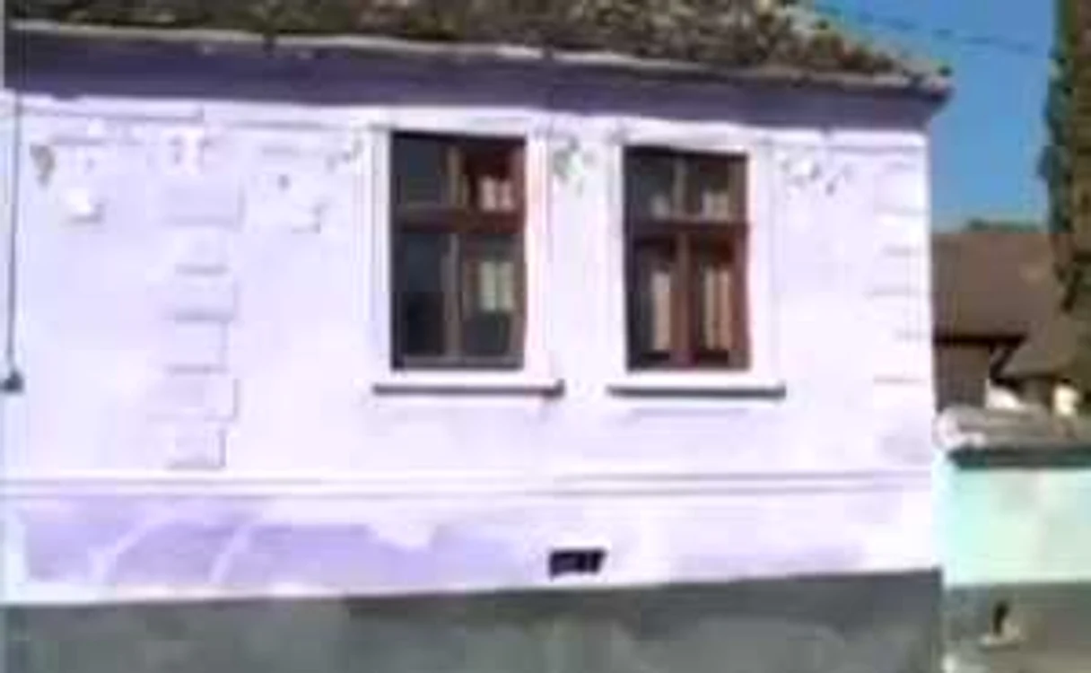 Pana acum, 6 case din Bradeni au fost zugravite in mov