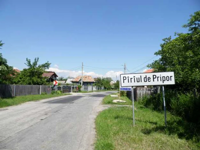 Pîrîul de Pripor