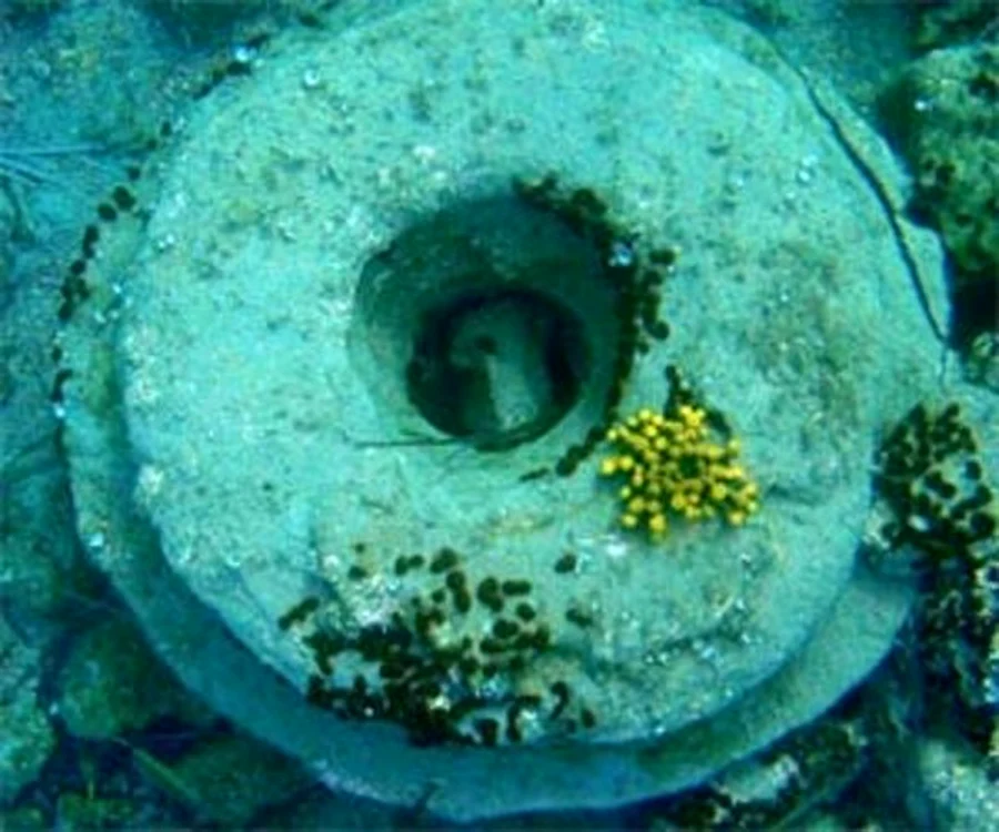 Insula Zakynthos