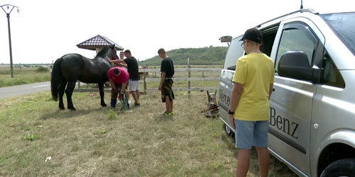 POTCOVAR CORNEL IRIMIA (5) png