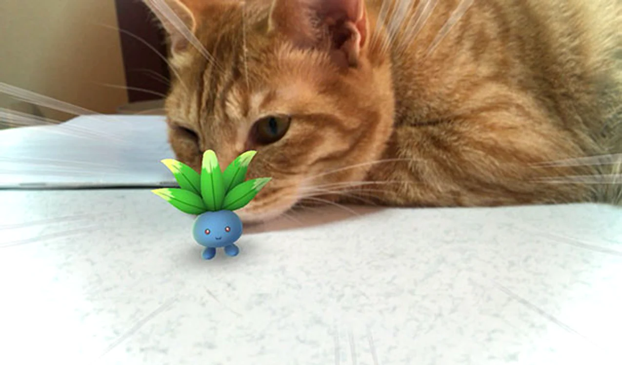 Jucătorii au fotografiat animalele de companie astfel încât acestea par a observa pokemoniiFoto Twitter