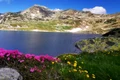 lacul Bucura jpeg
