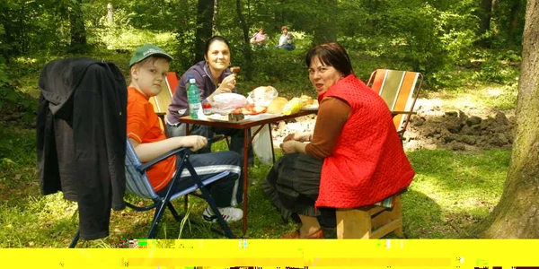 Plăcerea picnicului "departe de lumea dezlănţuită" a fost scoasă în afara legii