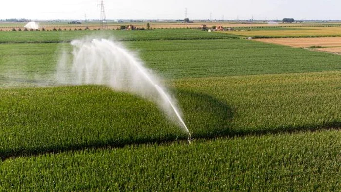 Doar în Insula Mare a Brăilei sunt irigate 64.000 de hectare FOTO arhivă Adevărul