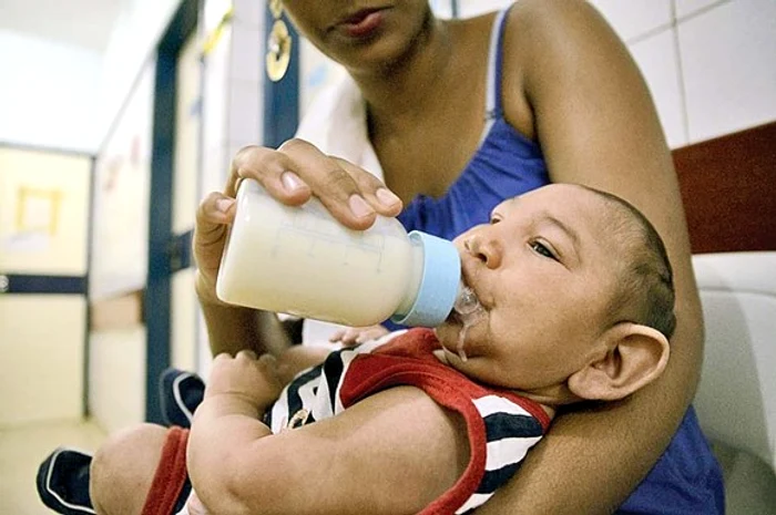 
    Virusul Zika, transmis prin înțepătura țânțarului tigru, produce microcefalie bebelușilor născuți de femeile infectate  