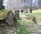 Sarmizegetusa Regia, solstitiu de iarnă  Foto Daniel Guță  ADEVĂRUL (9) JPG