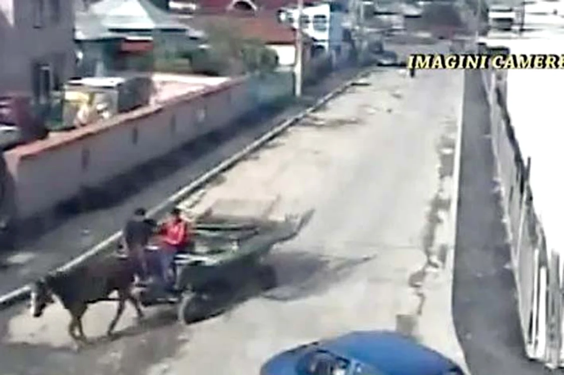 Hoţii se grăbesc să ajungă cu poarta furată la centrul de fier vechi