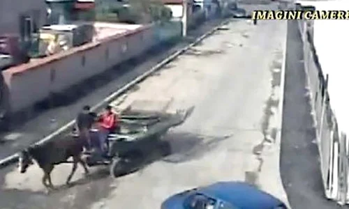 Hoţii se grăbesc să ajungă cu poarta furată la centrul de fier vechi jpeg