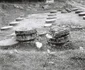 Sarmizegetusa Regia în anii 80 Foto Cornelius Ionescu.