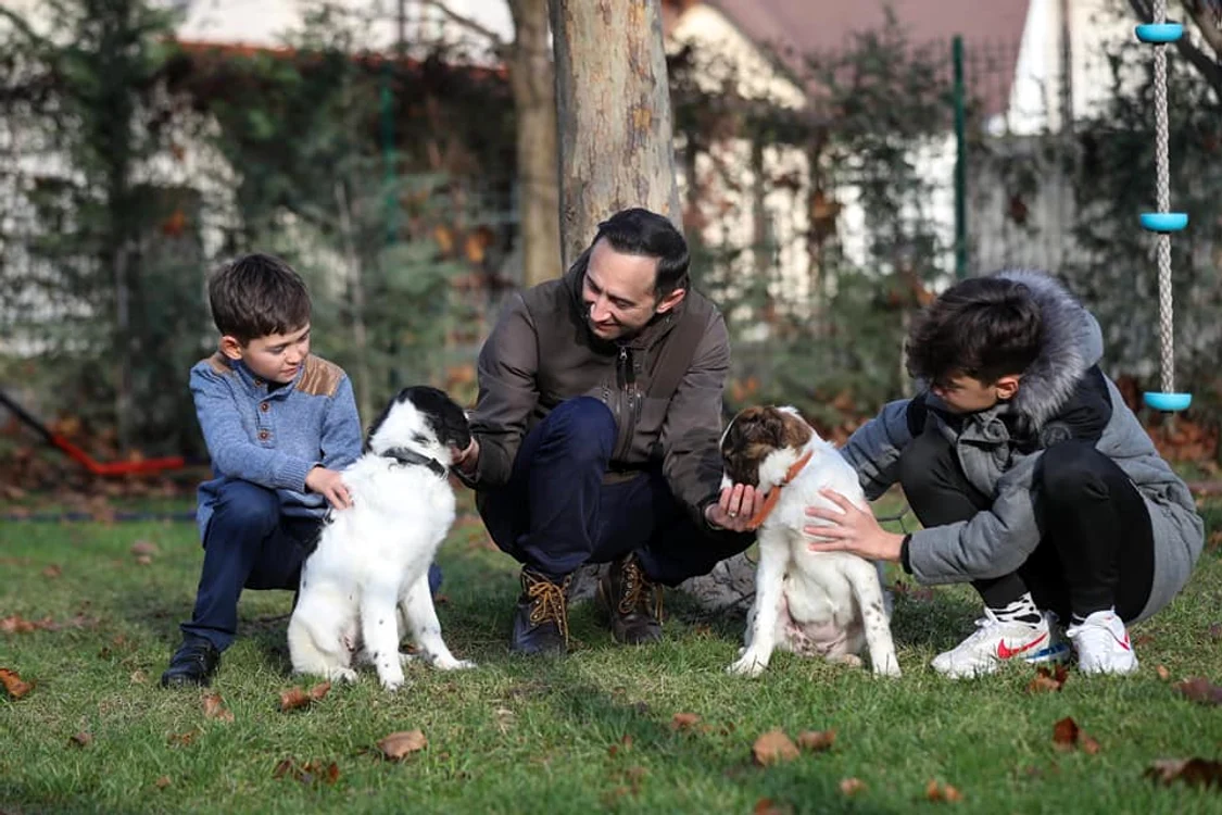 Câini adoptați de Alin Nica FOTO Facebook/Alin Nica