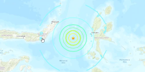 Cutremur in Marea Moluclelor Indonezia FOTO Twitter Earthquake2019