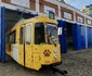 tramvai iasi proprietari animale 07 foto Tramclub Iasi jpg
