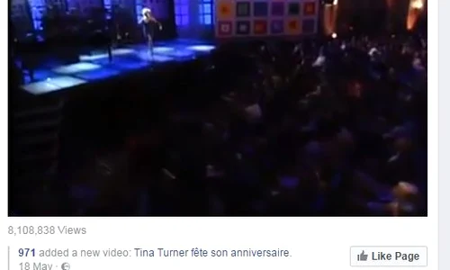 mihaela radulescu tina turner jpeg