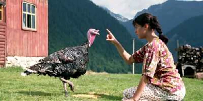 Povestea curcanului zburător poate fi văzută în filmul lui Mungiu