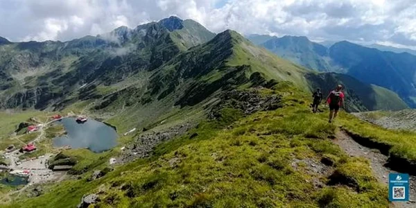 vanatarea lui Buteani CJ