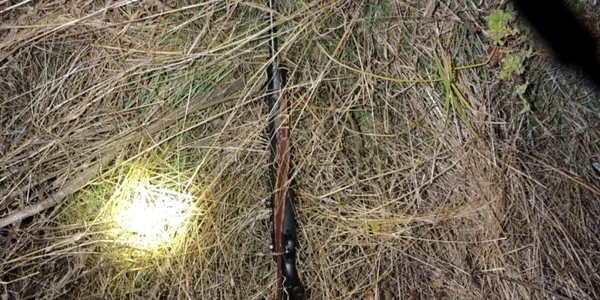 braconaj