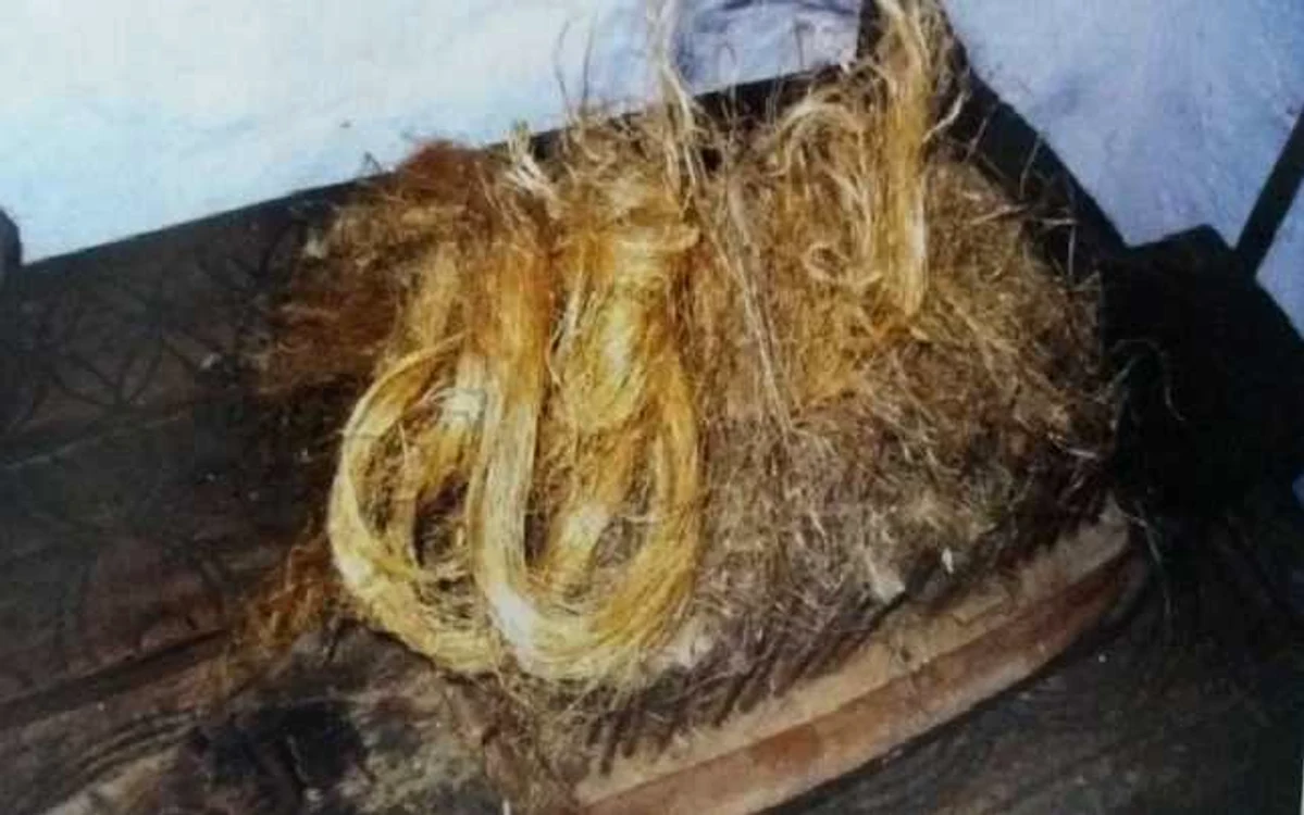 Hecerla, folosită la perierea cânepii