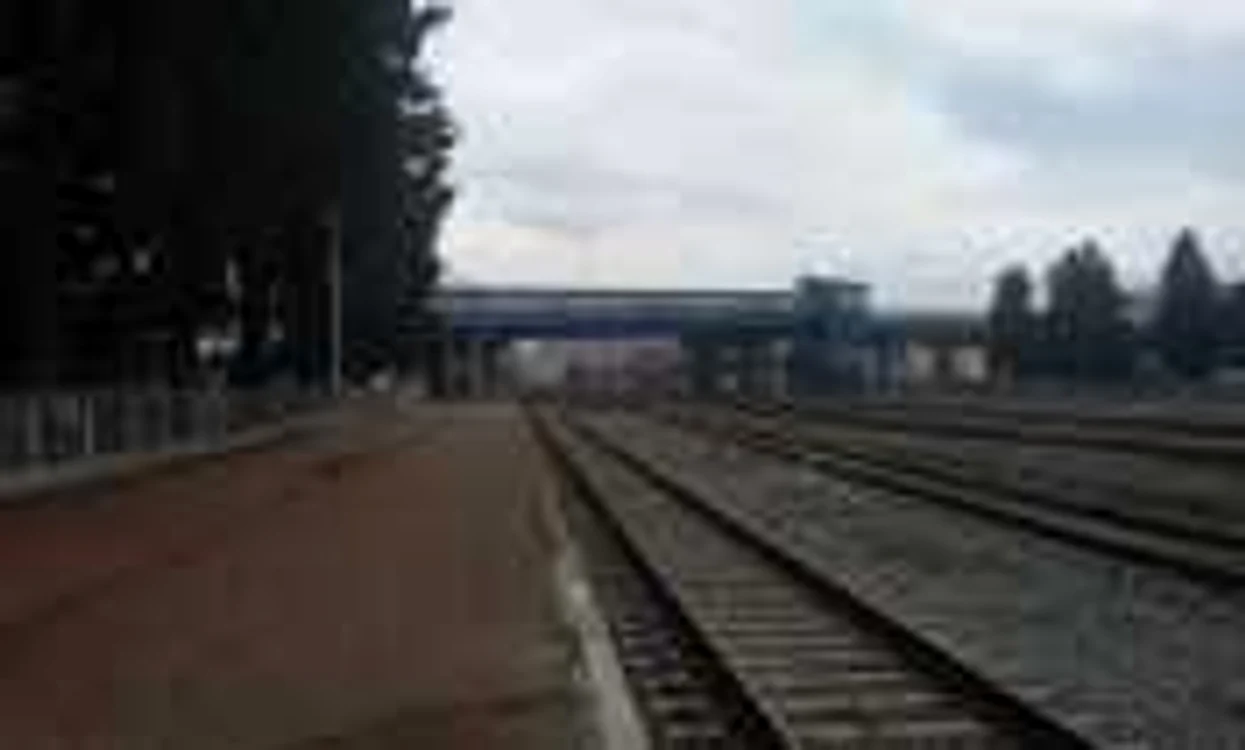 Pasarela de 2 milioane de lei, din Râmnicu Vâlcea, nefuncţională de 3 ani, Foto: Adevărul
