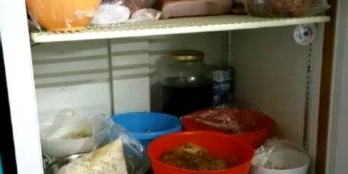 Mizeria era la ea acasă în frigiderul unui restaurant