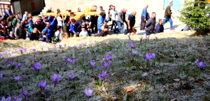 Drumul Crucii. FOTO: Daniel Guţă. ADEVĂRUL.