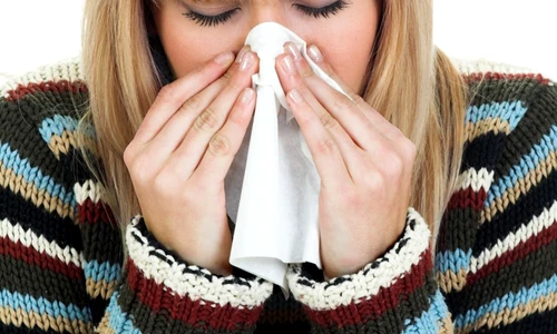 1 65961 original jpg jpeg