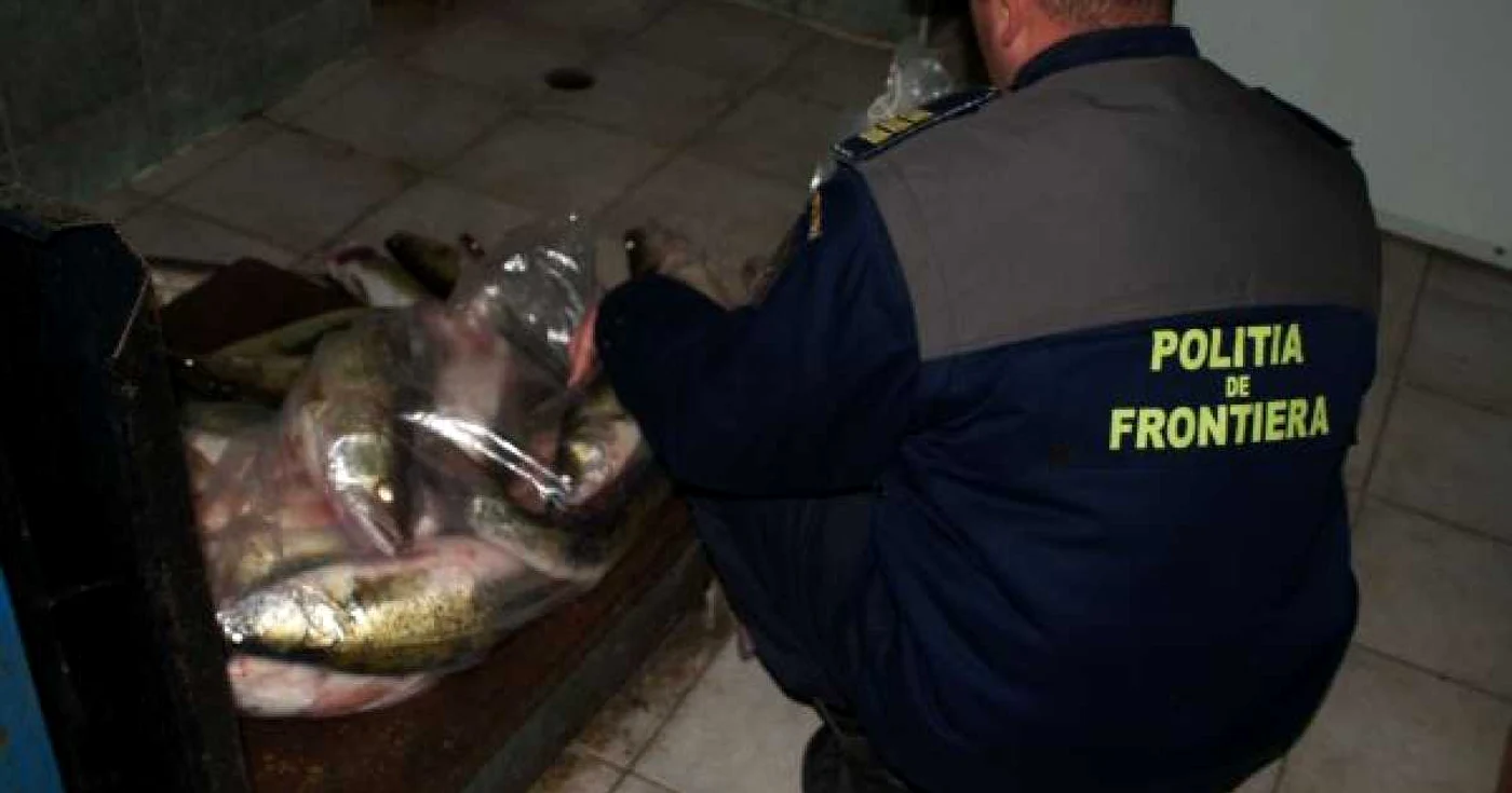 Întreaga cantitate de peşte a fost confiscată