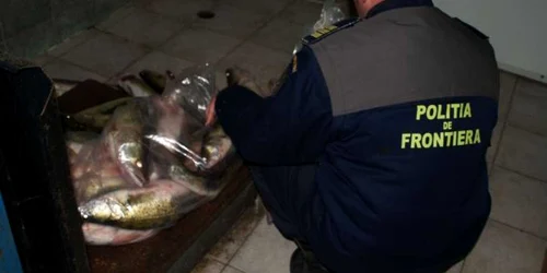peste confiscat politia de frontiera FOTO Arhiva