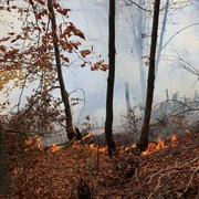 incendiu padure Bacau FOTO ISU Bacau (1) jpg