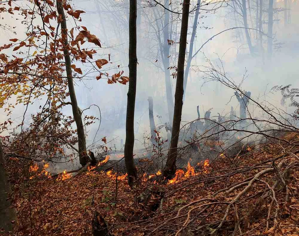 Imediat după prăbuşire, s-a produs un încendiu. FOTO arhivă