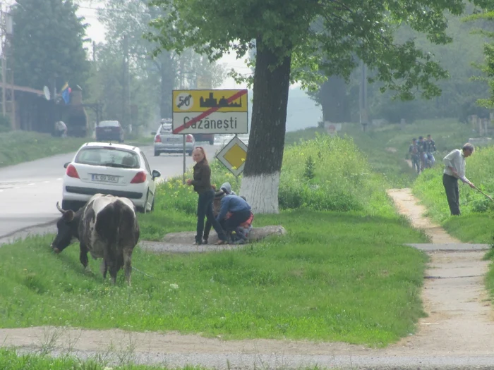 Fosta comună Căzăneşti a fost declarată oraş în anul 2005 FOTO: M.S.