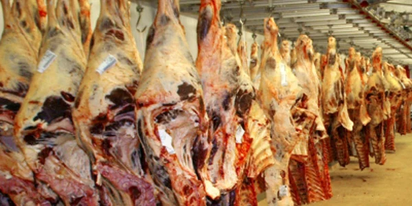 În judeţul Alba există cel puţin trei firme de renume, producătoare de mezeluri din carne de porc