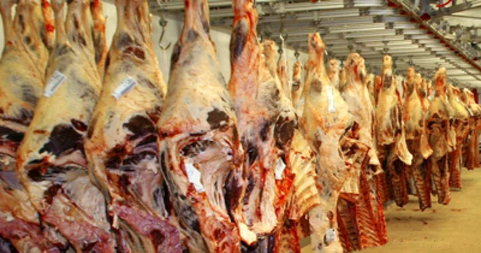 Sferturi de porc atârnate pe cârlige într-un abator