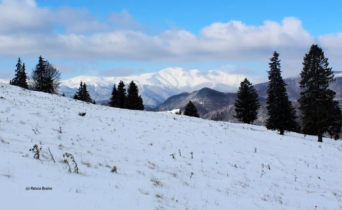 Peisaj de iarnă. FOTO Centrul de Informare şi Promovare Turistică Dâmbovicioara