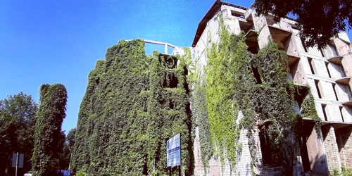 blocuri fantona hunedoara