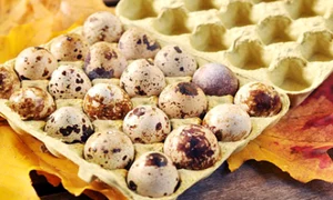 oua de prepelita ferma bunicii png