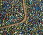 Festivalul Glastonbury 2019 FOTO Profimedia