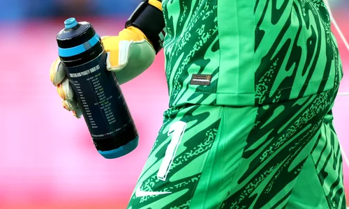 Jordan Pickford (X, Twitter) jpeg