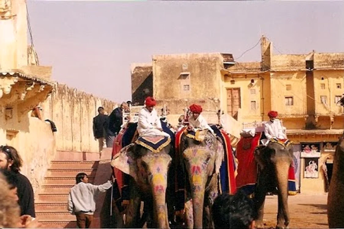 
    O vacanță în India costă 1.000 de euro de persoană  
