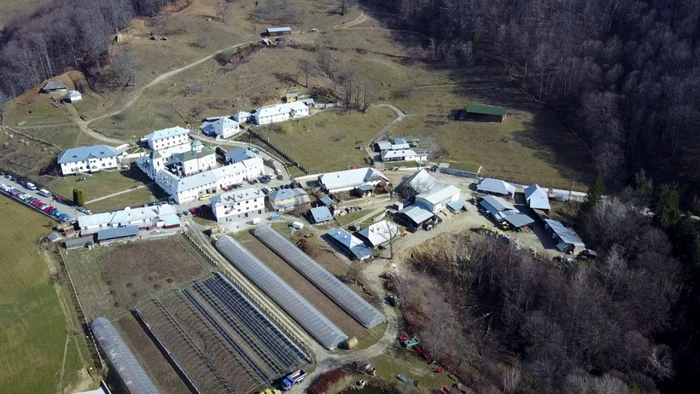 Frăsinei
