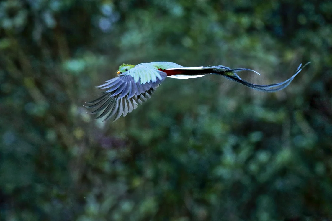 FOTO: Shutterstock
