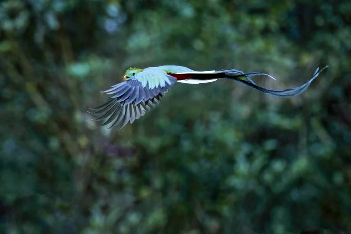 FOTO: Shutterstock