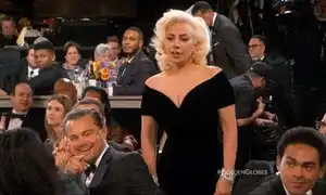 leonardo dicaprio lady gaga gif