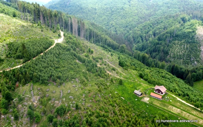 Satul Măgureni. ADEVĂRUL