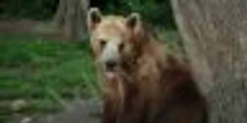 Foto: Stelian Grajdan