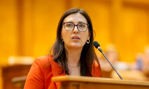 Monica Berescu png