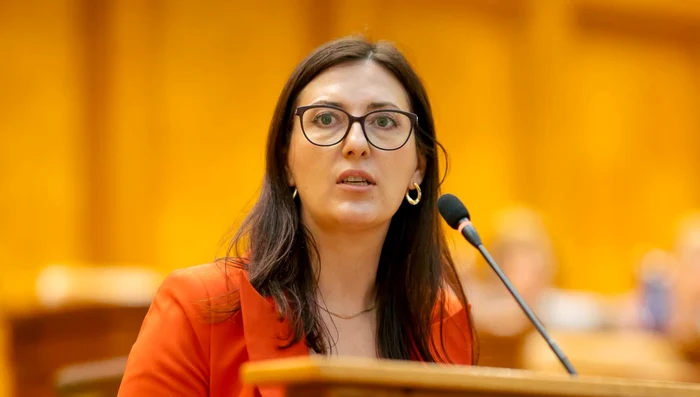 Monica Berescu png